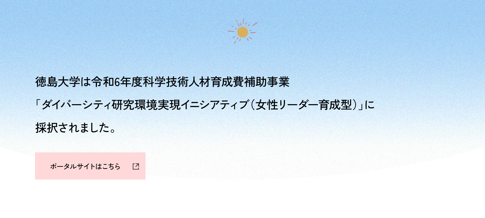 令和6年度科学技術人材育成費補助事業「ダイバーシティ研究環境実現イニシアティブ（女性リーダー育成型）」