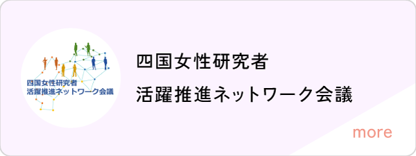 ダイバーシティ推進戦略研究助成金制度